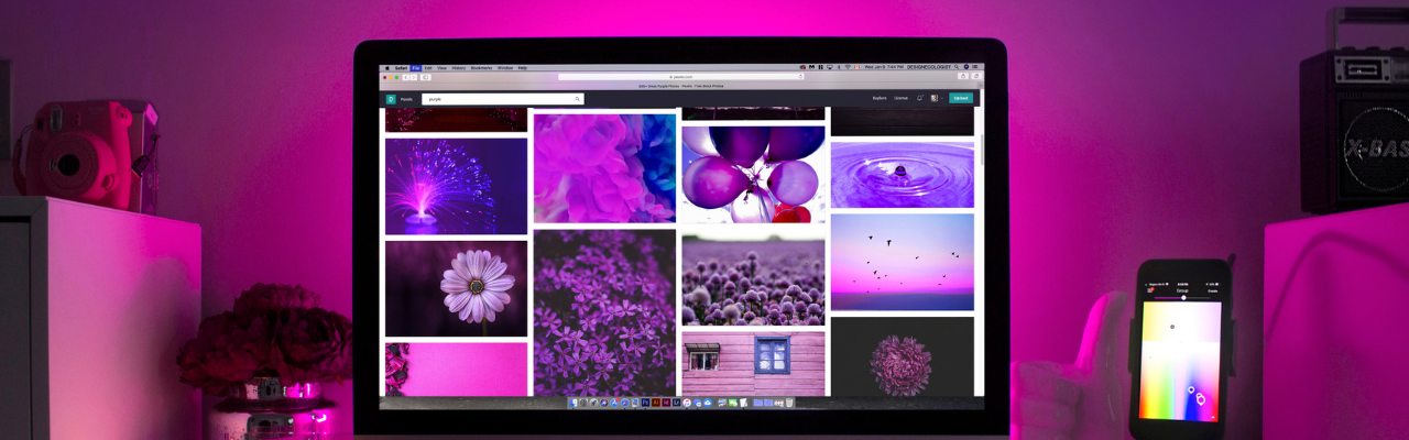 Profissional WordPress Freelancer desenvolvendo um site personalizado para negócios